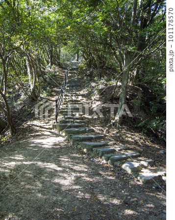井野山登山道 101178570