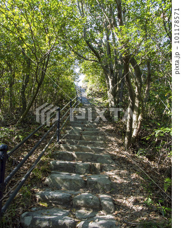 井野山登山道 101178571