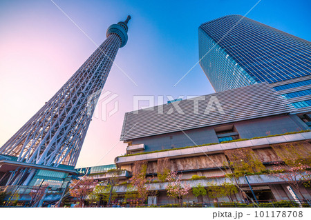 日本の東京都市景観 夕陽に染まる東京スカイツリーなどを望む 日本の東京都市景観 夕陽に染まる東京スカイツリーなどを望む 101178708