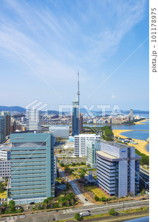 福岡県福岡市のシーサイドももち海浜公園と福岡タワー 福岡県福岡市のシーサイドももち海浜公園と福岡タワー 101178975