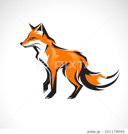 Vector of a fox design on white background. Wild Animals. 101179093