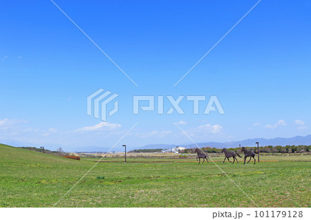 信州スカイパーク	信州まつもと空港 101179128