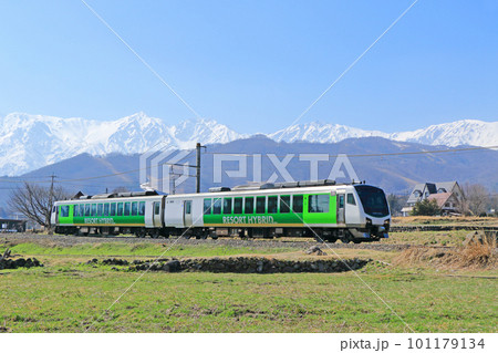 大糸線 早春の白馬山麓を行くリゾートビューふるさと 大糸線 早春の白馬山麓を行くリゾートビューふるさと 101179134