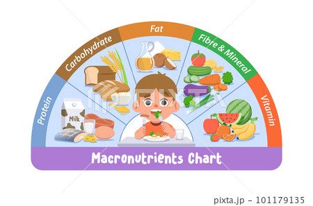 a white boy eating on the table with macronutrients chart, protein, carbohydrates, fat, vitamin, mineral, fibre, and foods, vegetables, fruits, illustration cartoon character vector design on white a white boy eating on the table with macronutrients chart, protein, carbohydrates, fat, vitamin, mineral, fibre, and foods, vegetables, fruits, illustration cartoon character vector design on white 101179135