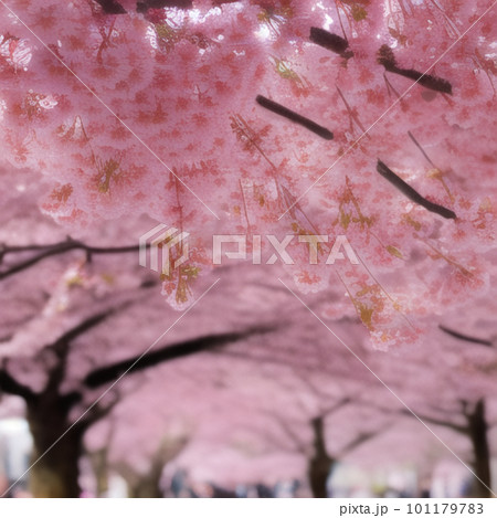 桜の風景　AI生成 101179783