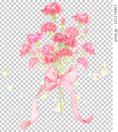 用水彩畫的母親節康乃馨花束插圖 101179967