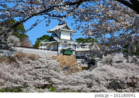 石川門　桜　桂坂口からの絶景　金沢市 101180041