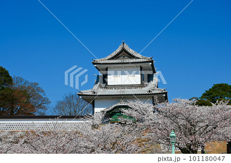 石川門 桜 満開 桂坂口からの絶景 金沢市 石川門 桜 満開 桂坂口からの絶景 金沢市 101180047