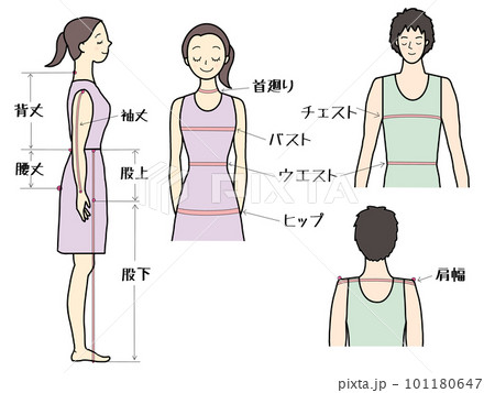 身体採寸箇所(女性、男性)カラーセット 101180647