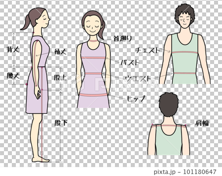 身体採寸箇所(女性、男性)カラーセット 101180647