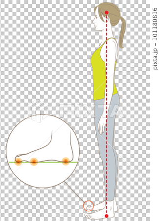 側身站立正確姿勢的女人 101180816