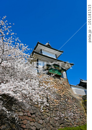 石川門 桜 金沢城公園 金沢市 石川門 桜 金沢城公園 金沢市 101181515