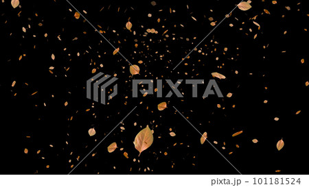 落ち葉が降る 落ち葉が降る 101181524