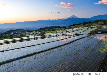 春の棚田と夜明けの富士山の風景 山梨県南アルプス市 春の棚田と夜明けの富士山の風景 山梨県南アルプス市 101182102