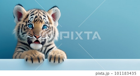 cute adorable tiger cub on blue background and...のイラスト素材