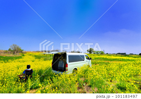 菜の花畑　バンライフ（埼玉県） 101183497