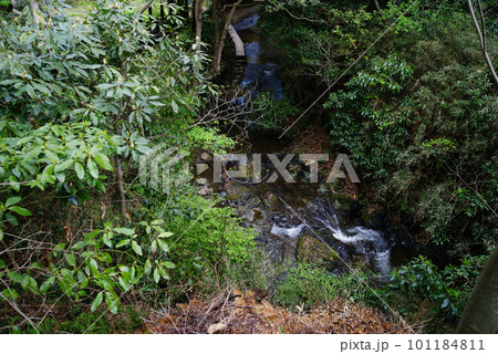 横須賀市秋谷 前田川遊歩道 横須賀市秋谷 前田川遊歩道 101184811