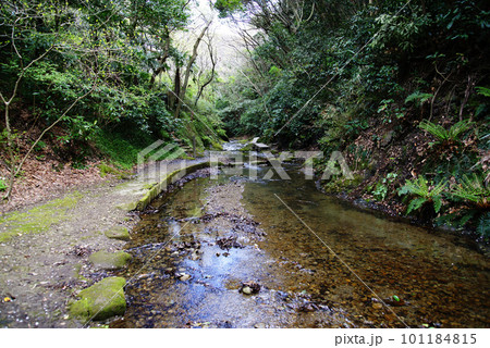 横須賀市秋谷　前田川遊歩道 101184815
