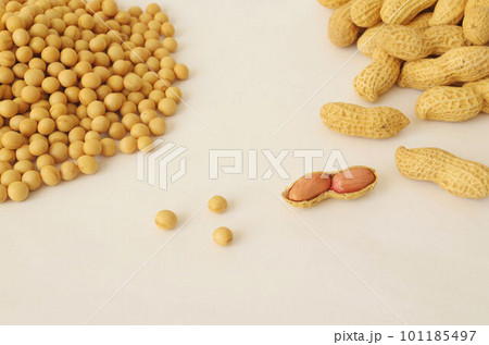 大豆と落花生 101185497