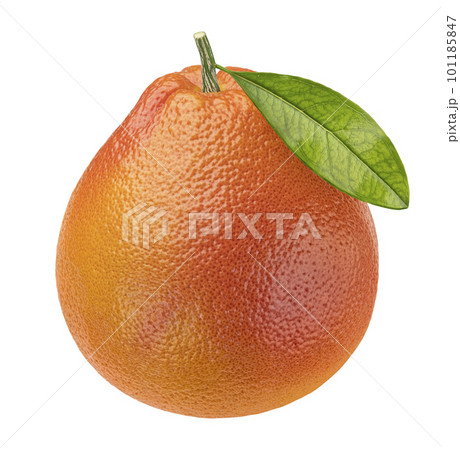 One whole grapefruit isolated on white background 101185847