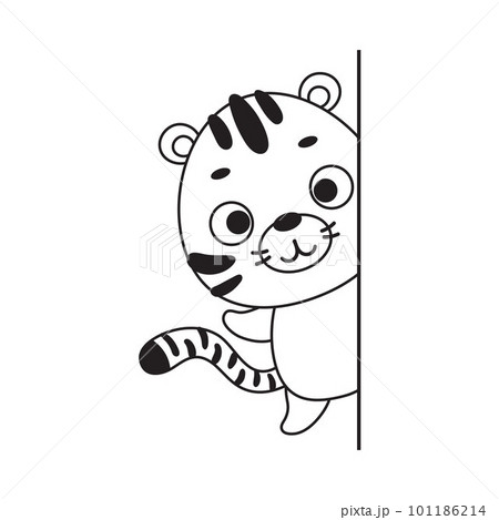 Coloring page cute little tiger peeking around corner. Coloring book for kids. Educational activity for preschool years kids and toddlers with cute animal. Vector stock illustration Coloring page cute little tiger peeking around corner. Coloring book for kids. Educational activity for preschool years kids and toddlers with cute animal. Vector stock illustration 101186214