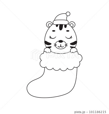 Coloring page cute little tiger in Christmas sock. Coloring book for kids. Educational activity for preschool years kids and toddlers with cute animal. Vector stock illustration Coloring page cute little tiger in Christmas sock. Coloring book for kids. Educational activity for preschool years kids and toddlers with cute animal. Vector stock illustration 101186215