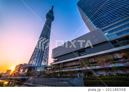日本の東京都市景観 東京スカイツリーと太陽(夕陽)などを望む 日本の東京都市景観 東京スカイツリーと太陽(夕陽)などを望む 101186508