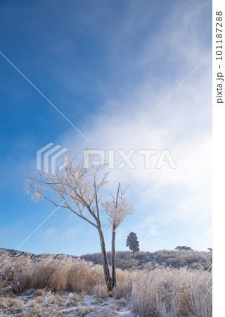霧氷と青空 101187288