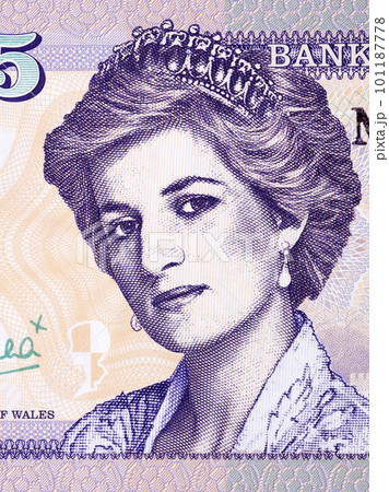 Princess Diana a portrait from Welsh money 101187778