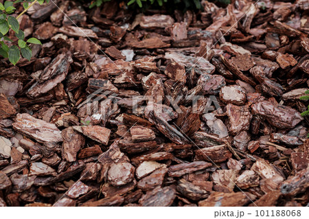 Wood chips for landscaping. 101188068