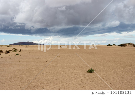 Desert and a cloudy sky, Corralejo, Spain 101188133