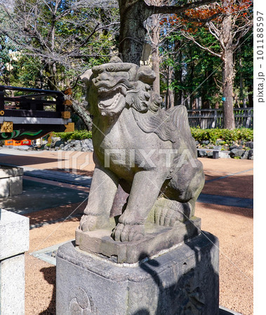 拝殿前の狛犬さん 十二社熊野神社(新宿区西新宿) 拝殿前の狛犬さん 十二社熊野神社(新宿区西新宿) 101188597