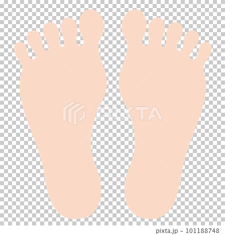 Foot sole illustration 101188748
