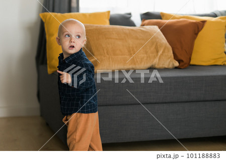 Toddler boy laughing having fun standing near sofa in living room at home copy space. Adorable baby making first steps alone. Happy childhood and child care concept Toddler boy laughing having fun standing near sofa in living room at home copy space. Adorable baby making first steps alone. Happy childhood and child care concept 101188883