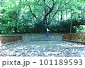 階段と女性 101189593