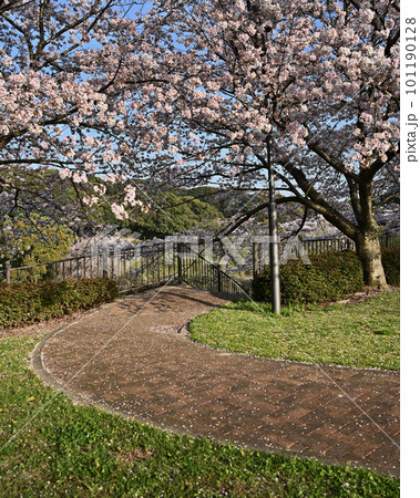 岳ノ木場公園（長崎県大村市） 101190128