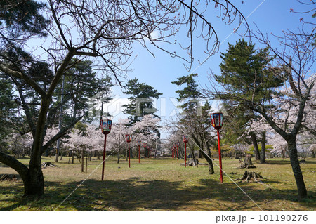 桜咲く吉崎御坊 春 蓮如上人 桜咲く吉崎御坊 春 蓮如上人 101190276