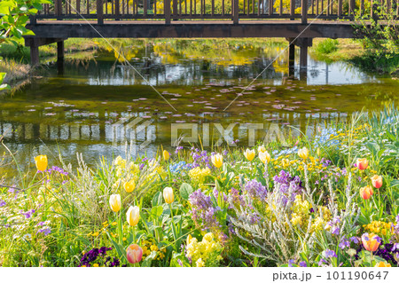 春のワイルドフラワーガーデン ブルーボネット、美しい花々〈愛知県名古屋市〉 春のワイルドフラワーガーデン ブルーボネット、美しい花々〈愛知県名古屋市〉 101190647