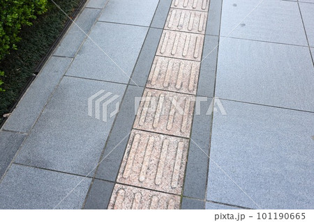 春、道の歩道と点字ブロック 春、道の歩道と点字ブロック 101190665