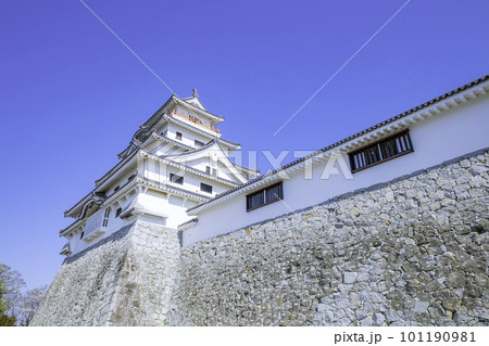 美しい唐津城（佐賀県唐津市） 101190981