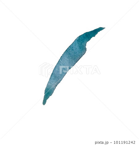 Petal daisy chamomile navy blue watercolor sketch 101191242