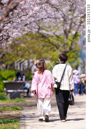 桜並木を歩く恋人 101191310