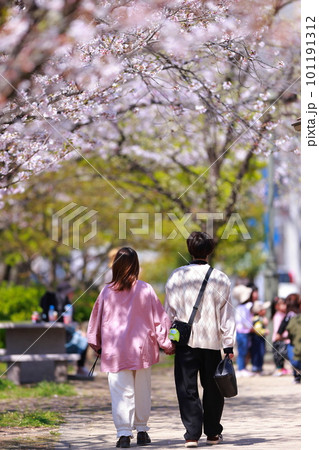 桜並木を歩く恋人 101191312