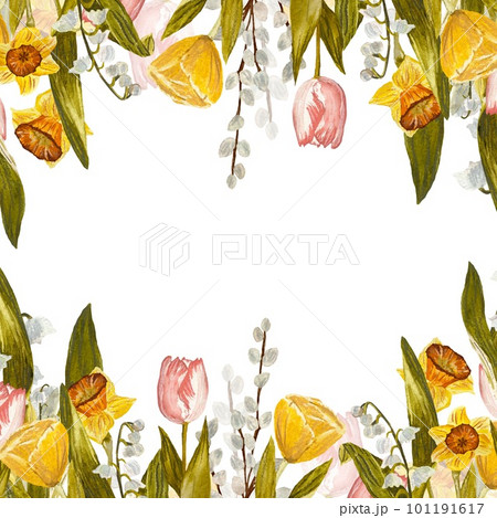 Frame snowdrop tulip flower daffodil a watercolor  101191617