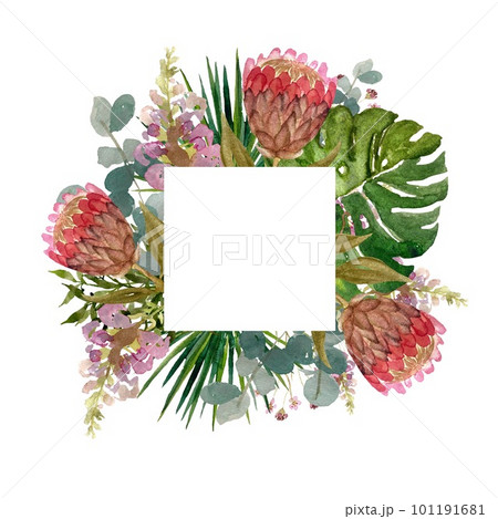 Frame flower palm protea a watercolor illustration Frame flower palm protea a watercolor illustration 101191681