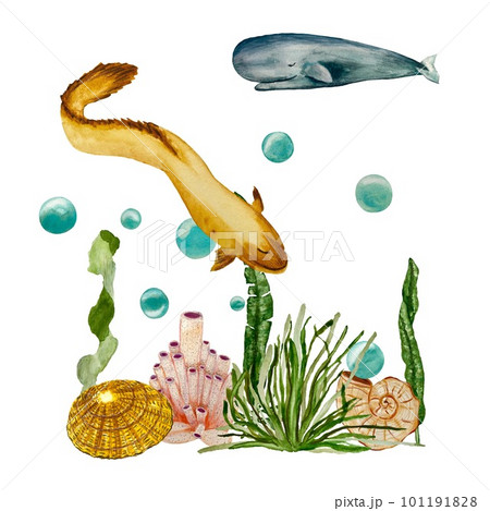 Seaweed coral shell bubbles eel whale watercolor Seaweed coral shell bubbles eel whale watercolor 101191828