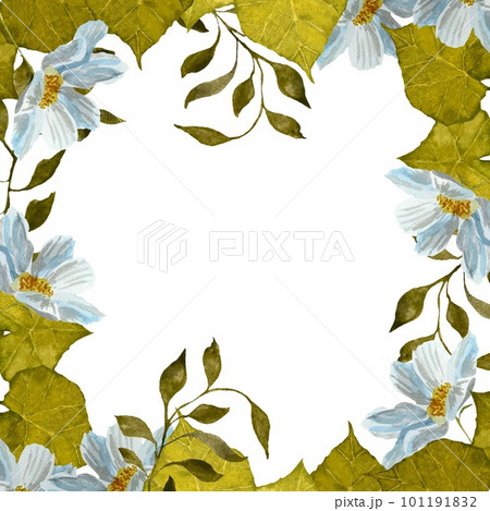 Frame square daisy leaves liana watercolor sketch Frame square daisy leaves liana watercolor sketch 101191832