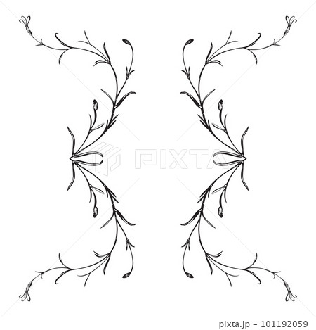 Botanical hand drawn plant, bouquet isolated on background. Spring plant flower vintage frame. Creative doodle linear style. Graphic design wedding invitation, card, poster, banner Vector illustration Botanical hand drawn plant, bouquet isolated on background. Spring plant flower vintage frame. Creative doodle linear style. Graphic design wedding invitation, card, poster, banner Vector illustration 101192059