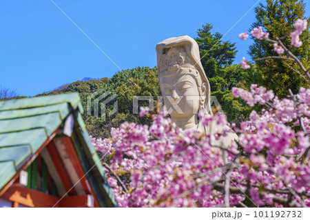 霊山観音と満開の桜（京都市東山区） 101192732
