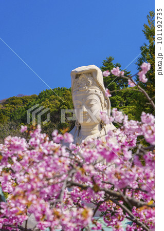 霊山観音と満開の桜（京都市東山区） 101192735